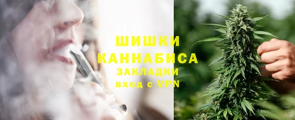 apvp Алзамай