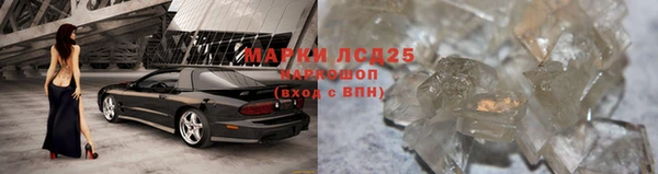 apvp Алзамай