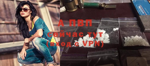 apvp Алзамай